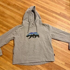 Grey Patagonia Hoodie- Bear & Mountain Design